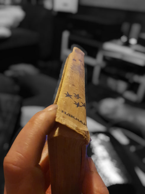 The Arthur Rackham Fairy Book by Arthur Rackham